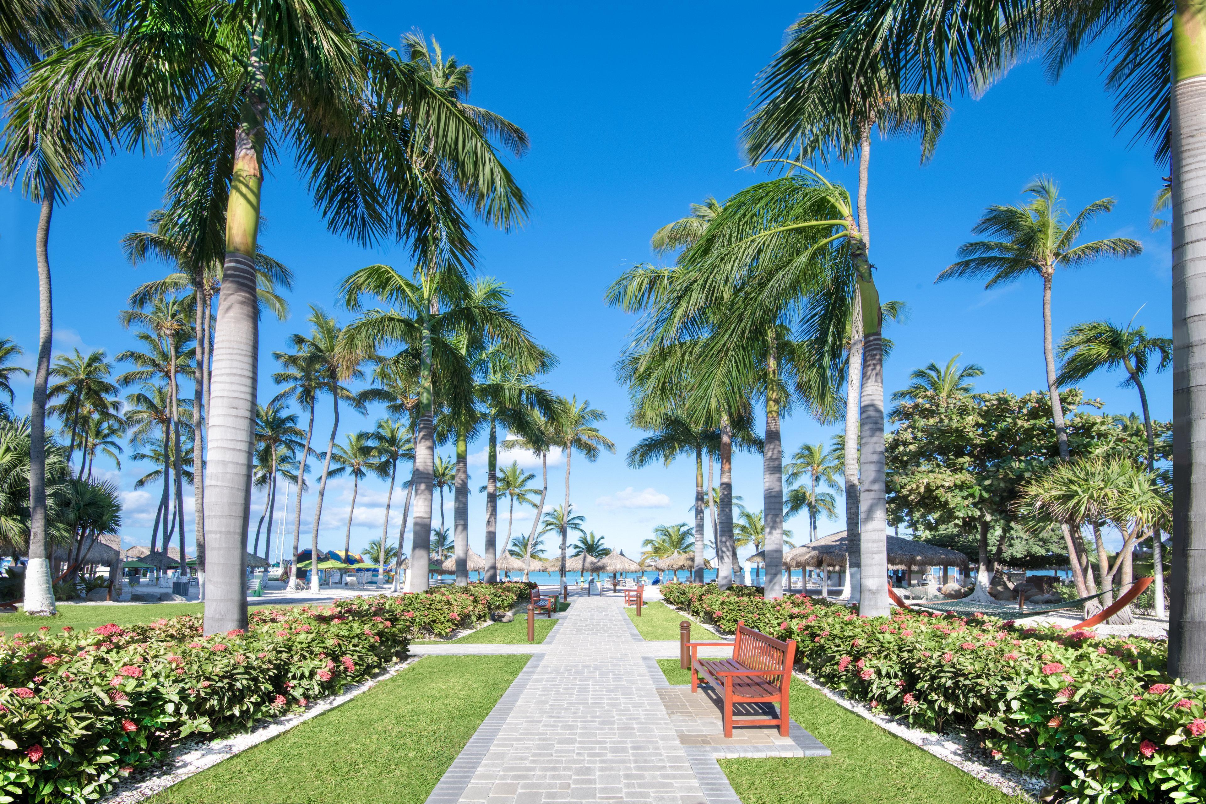 Holiday Inn Resort Aruba - Beach Resort & Casino By Ihg Palm Beach Esterno foto